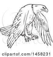 Clipart Of A Flying Bald Eagle In Sketched Black And White Style Royalty Free Vector Illustration