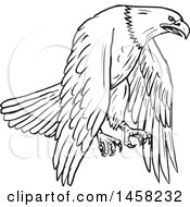 Clipart Of A Flying Bald Eagle In Sketched Black And White Style Royalty Free Vector Illustration