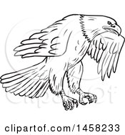 Poster, Art Print Of Flying Bald Eagle In Sketched Black And White Style