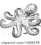 Clipart Of An Octopus In Black And White Sketched Style Royalty Free Vector Illustration