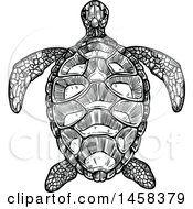 Poster, Art Print Of Sea Turtle In Black And White Sketched Style