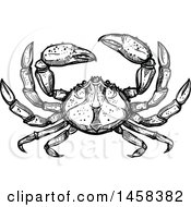 Poster, Art Print Of Crab In Black And White Sketched Style
