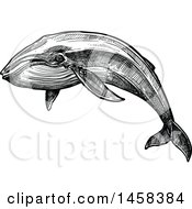 Poster, Art Print Of Whale In Black And White Sketched Style