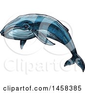 Poster, Art Print Of Whale In Sketched Style