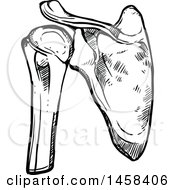 Clipart Of A Sketched Human Shoulder Joint Black And White Royalty Free Vector Illustration