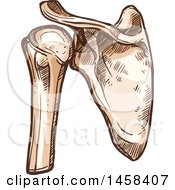 Clipart Of A Sketched Human Shoulder Joint Royalty Free Vector Illustration