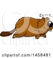 Poster, Art Print Of Sleeping Beaver