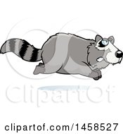 Poster, Art Print Of Mad Raccoon Running