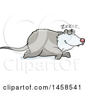 Poster, Art Print Of Sleeping Possum