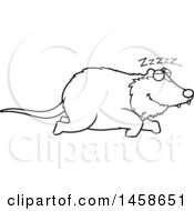 Poster, Art Print Of Outlined Sleeping Possum