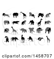 Clipart Of Silhouetted Lions Giraffes Elephants And Rhinos Royalty Free Vector Illustration by AtStockIllustration