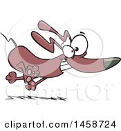 Clipart Of A Cartoon Frisky Dachshund Dog Running Royalty Free Vector Illustration by toonaday
