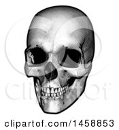 Clipart Of A Human Skull Black And White Vintage Etched Style Royalty Free Vector Illustration