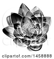 Poster, Art Print Of Vintage Black And White Engraved Or Woodcut Blooming Waterlily Lotus Flower