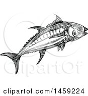 Poster, Art Print Of Sketched Tuna Fish In Black And White