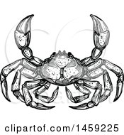 Poster, Art Print Of Sketched Crab In Black And White