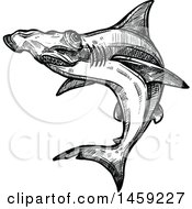 Poster, Art Print Of Sketched Hammerhead Shark In Black And White