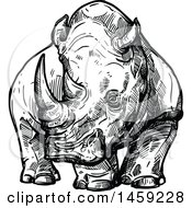 Poster, Art Print Of Sketched Rhino In Black And White