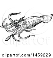 Clipart Of A Sketched Squid In Black And White Royalty Free Vector Illustration