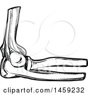 Clipart Of A Sketched Human Elbow Joint In Black And White Royalty Free Vector Illustration