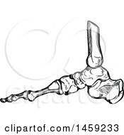 Clipart Of Sketched Human Foot Bones In Black And White Royalty Free Vector Illustration