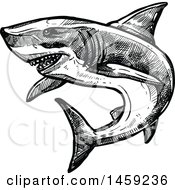 Clipart Of A Sketched Shark In Black And White Royalty Free Vector Illustration