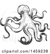 Clipart Of A Sketched Octopus In Black And White Royalty Free Vector Illustration