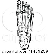 Clipart Of Sketched Human Foot Bones In Black And White Royalty Free Vector Illustration