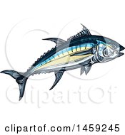 Poster, Art Print Of Sketched Tuna Fish