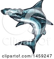 Poster, Art Print Of Sketched Hammerhead Shark