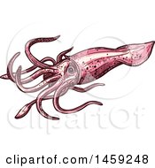 Clipart Of A Sketched Squid Royalty Free Vector Illustration