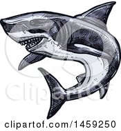 Poster, Art Print Of Sketched Shark