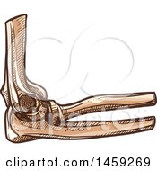 Clipart Of A Sketched Human Elbow Joint Royalty Free Vector Illustration