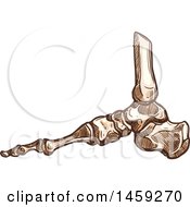Clipart Of Sketched Human Foot Bones Royalty Free Vector Illustration