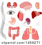 Clipart Of Human Organs And Body Parts Royalty Free Vector Illustration by Vector Tradition SM