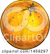 Poster, Art Print Of Sketched Navel Orange Fruit