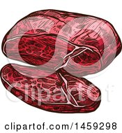 Clipart Of A Sketched Liver Royalty Free Vector Illustration