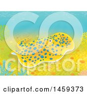 Poster, Art Print Of Blue Spotted Sting Ray On A Coral Reef