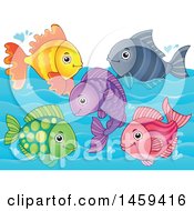 Poster, Art Print Of Group Of Colorful Fish