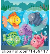 Poster, Art Print Of Group Of Colorful Fish