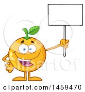 Navel Orange Fruit Mascot Character Holding Up A Blank Sign