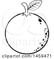 Clipart Of A Black And White Navel Orange Fruit Royalty Free Vector Illustration by Hit Toon