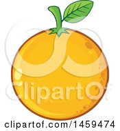 Poster, Art Print Of Navel Orange Fruit
