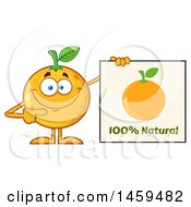 Poster, Art Print Of Navel Orange Fruit Mascot Character Pointing To A Natural Sign