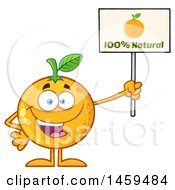 Navel Orange Fruit Mascot Character Holding Up A Natural Sign
