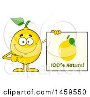 Poster, Art Print Of Happy Lemon Mascot Character Holding A Natural Sign