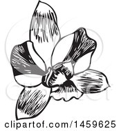 Sketched Orchid Flower Design