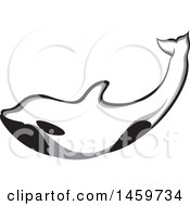 Clipart Of A Swimming Orca Killer Whale Royalty Free Vector Illustration