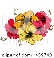 Poster, Art Print Of Engraved Or Woodcut Colorful Hibiscus Flower Design