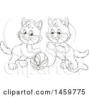 Poster, Art Print Of Black And White Kittens Playing With A Ball Of Yarn